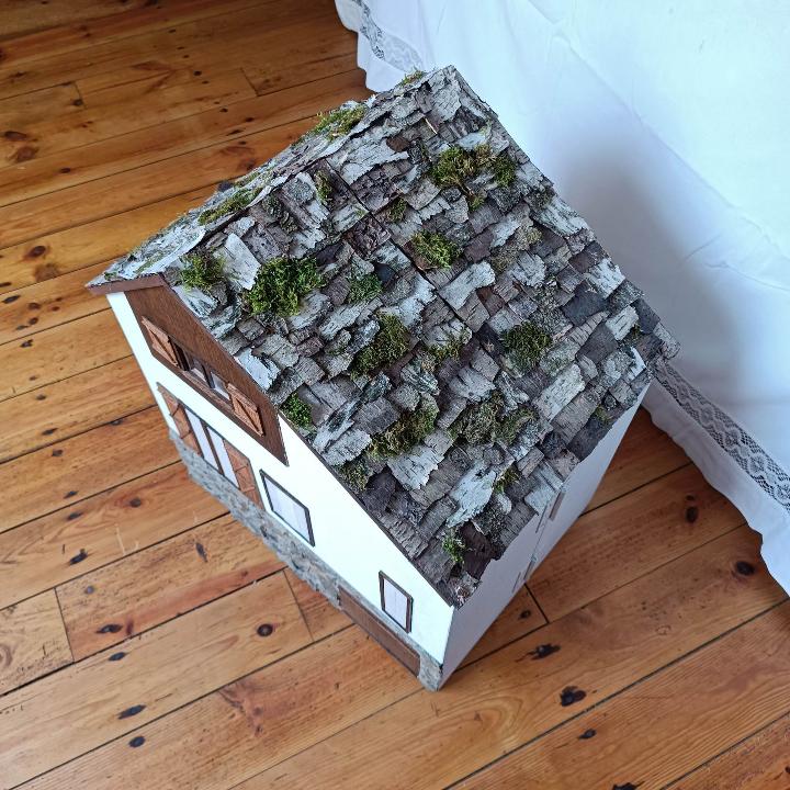 Modern ecologisch dak
